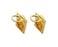 QCAA Solid Brass Flush Ring Pull, 36.5 x45 mm, Polished Brass US3, Made in Taiwan, 2 Pack