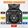 7-Way RV Trailer Light Connector Socket Kit with Pigtail Wiring Harness
