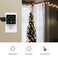 BN-LINK Smart Digital Countdown Timer, Repeat Cycle Timer Outlet, 3-Prong