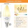 Vinaco E12 LED Candelabra Bulb 4W 3000K Warm White for Ceiling Fan Light