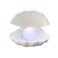 BinaryABC Shell Pearl Night Light,Ceramic LED Tabletop Lamp(White)