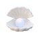 BinaryABC Shell Pearl Night Light,Ceramic LED Tabletop Lamp(White)