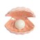 BinaryABC Shell Pearl Night Light,Ceramic LED Tabletop Lamp(Pink)