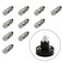 RuiLing 10-Pack E10 Mini Light Bulbs Screw Base Indicator Light Incandescent Bulb Old-Fashioned Flashlight Lamp for Physical Electrical Experiment 1.5V 0.3A (No Base)
