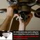 Akahttbn Ceiling Fan 2 Light Socket Switch Zing Ear ZE-310D ZE-109M Socket Pull Chain Switch Ceiling Fan Lamp Light, Lamp Holder E95014