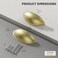 Goldenwarm 10 Pack Light Brass Bin Cup Pulls Light Brushed Gold Cabinet Pulls - LS0313BB76 Gold Cup Drawer Pulls Dresser Pulls Kitchen Furniture Hardware Closet Door Pulls, 3in Hole Centers