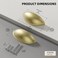 Goldenwarm 10 Pack Light Brass Bin Cup Pulls Light Brushed Gold Cabinet Pulls - LS0313BB76 Gold Cup Drawer Pulls Dresser Pulls Kitchen Furniture Hardware Closet Door Pulls, 3in Hole Centers