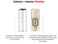 TEKTON 3/8 Inch Drive x 10 mm 12-Point Socket SHD13310