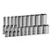 Capri Tools 1/4 in. Drive 6-Point Socket Set (Shallow &amp; Deep Set / 3/16-9/16 in.)