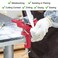 Housolution Universal Table Vise 3 Inch, 360 &deg;Swivel Base Bench Clamp