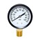 Joywayus Pressure Gauge 0 to 100 PSI Brass 1/4" Male NPT Thread Lower Mount, Multiple Function