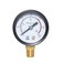 Joywayus Pressure Gauge 0 to 300 PSI Brass 1/8" Male NPT Thread Lower Mount, Multiple Function