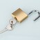 ABRAFOX Solid Brass Same Keyed Padlock keyed Alike Weatherproof Locks &frac14;&circ;1-9/16 inch 40mm-12pack