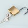 ABRAFOX Solid Brass Same Keyed Padlock keyed Alike Weatherproof Locks &frac14;&circ;1-9/16 inch 40mm-12pack