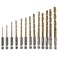 Hex-Shank Drill Bit Set, HSS Titanium Coated Twist, 13Pcs