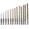 Hex-Shank Drill Bit Set, HSS Titanium Coated Twist, 13Pcs