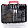 AVID POWER Drill &amp; Driver Bit Set, 100 Pcs Combo Kit with Storage Case-Red