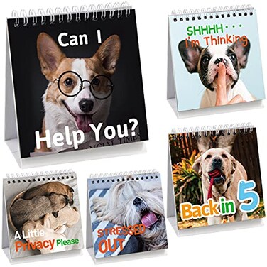 Fancy Land Funny Desk Signs 30 Flip-Over Messages Office Desk Accessories