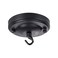 haultop 4.1Inch Light Canopy Kit, Iron Ceiling Canopy Kit for Light, Black