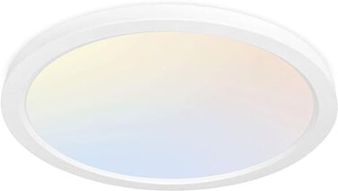 hykolity 12 Inch Selectable CCT LED Round Flat Panel Light,3CCT