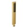 Asyas Square Solid Brass Hand Held Shower Head (Gold)