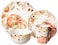 Harvest Splash 16pc Dinnerware Set,Service for 4