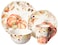Harvest Splash 16pc Dinnerware Set,Service for 4