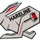 Hareline Ice Dub Midnight Fire - Fly Tying