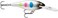 Rapala Shad Rap Crankbait, 3-1/2", Black Wonderbread