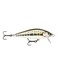 Rapala Countdown Elite 55 Gilded Minnow