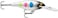 Rapala Shad Rap Crankbait, 2-3/4", Black Wonderbread
