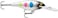 Rapala Shad Rap Crankbait, 2-3/4", Black Wonderbread