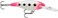 Rapala Shad Rap Crankbait, 2", Glow Pink Squirrel