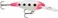 Rapala Shad Rap Crankbait, 2", Glow Pink Squirrel
