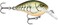 Rapala Dives-to Crankbait &euro;&ldquo; Diving Hard Bait Lure &acirc;&euro;&ldquo; 2", Rootbeer Crawdad