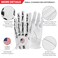 FINGER TEN Cabretta Leather Golf Gloves Men Left Hand (Bones, M, Left)