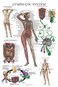 Palace Learning Laminated Lymphatic System Anatomical Poster - Lymphatic Anatomy Chart - 18" x 24