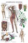 Palace Learning Laminated Lymphatic System Anatomical Poster - Lymphatic Anatomy Chart - 18" x 24