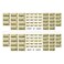 Advantus Flashcards