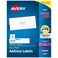 Avery Mailing Address Labels, Laser Printers, 2,000 Labels, 1 x 4, Permanent Adhesive, 5 Packs (5161)