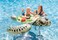 57555EP Realistic Sea Turtle Inflatable Ride-On Pool Float with Handles