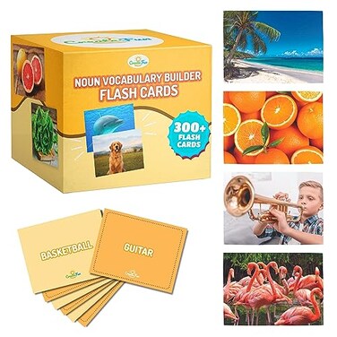 CreateFun 300 Noun Vocabulary Builder Flash Cards for Speech Therapy &amp; ESL