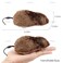 AUEAR, 4 Pack Wind Up Mouse Racing Mini Jumping Rat Plush Mice Realistic Looking Pet with Twirling Tail