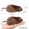 AUEAR, 4 Pack Wind Up Mouse Racing Mini Jumping Rat Plush Mice Realistic Looking Pet with Twirling Tail