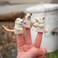 3 Pack Finger Possums Finger Puppets