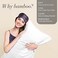 BEDELITE Pillow Cases Standard Size 2Pcs, Rayon Derived from Bamboo, White