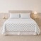 Modern Threads Printed 4-Piece Extra Soft Bedding Sheets &amp; Pillowcase Set, Deep Pocket up to 16 inch Mattress Claire Queen