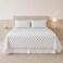 Modern Threads Printed 3-Piece Extra Soft Bedding Sheets &amp; Pillowcase Set, Deep Pocket up to 16 inch Mattress Claire Twin