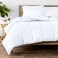 Bare Home Queen Comforter Set - 1800 Ultra Soft (Queen, White)