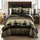 Donna Sharp Bear Walk Plaid Queen Quilt Set, 90" x 90